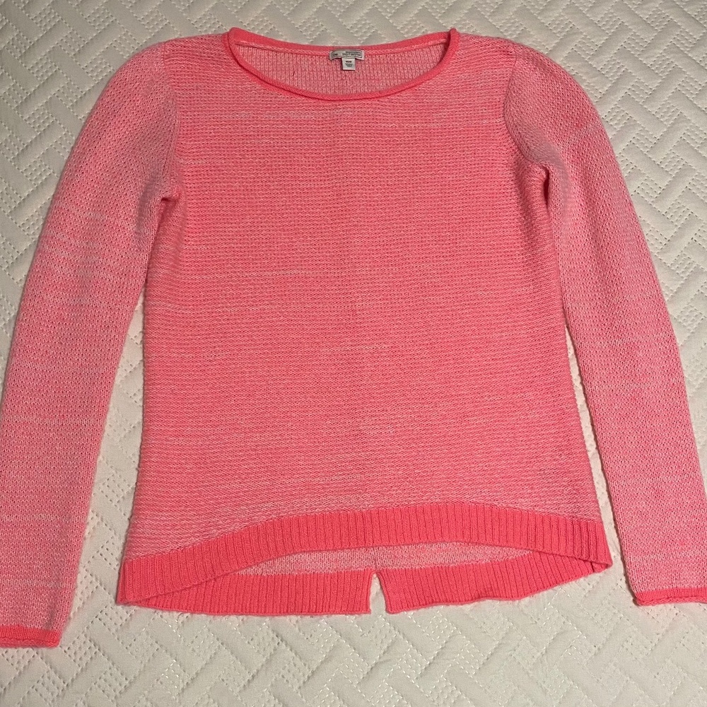 The Gap sweater